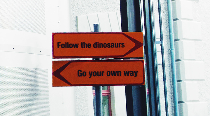 DĖSTYMO VIZITAS: „Eik su dinozaurais arba rinkis savo kelią“