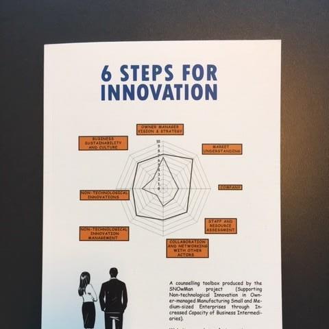 Išleistas SNOwMan projekto dalyvių parengtas leidinys „6 Steps for Innovation“ 