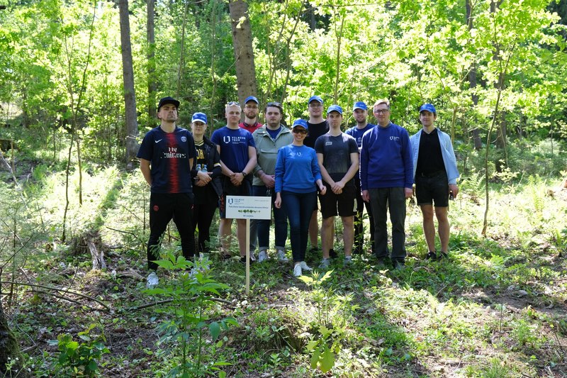 Faculty representatives took part in the social action "I Love the Forest"