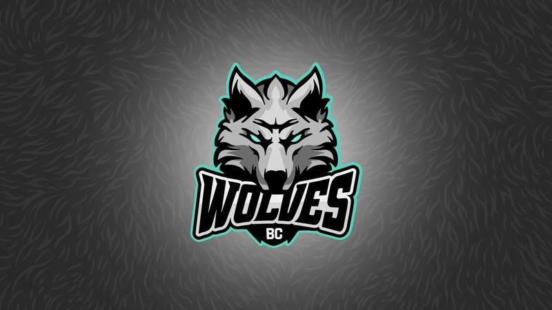 „BC Wolves“ krepšinio klubas įteikė stipendijas VILNIUS TECH Kūrybinių industrijų fakulteto studentams