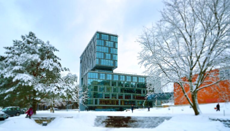 Universiteto pastatas žiemą