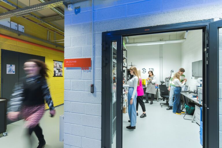 LinkMenų dirbtuvės