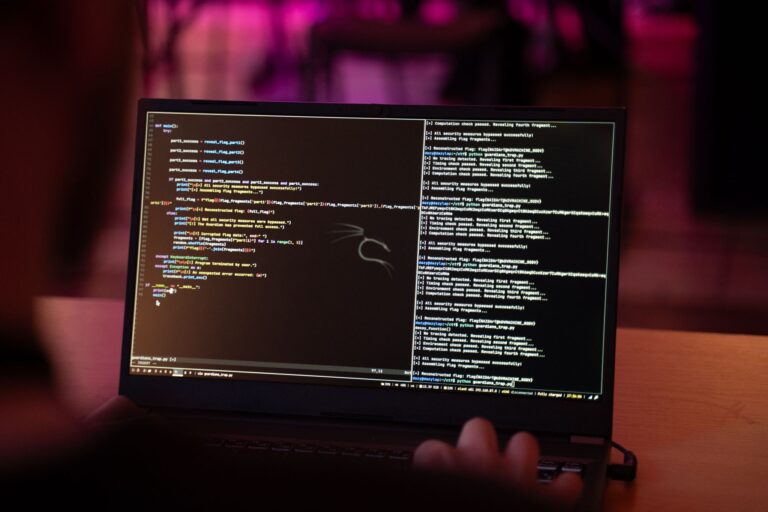 Programinis kodas