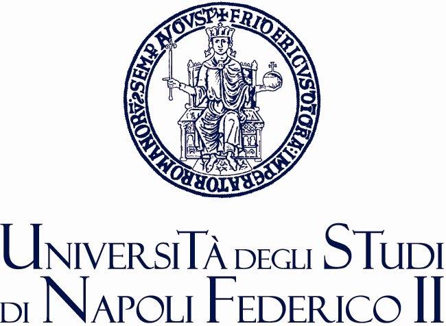 Universita degli Studi di Napoli Federico
