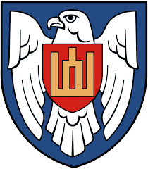 Karinės oro pajegos