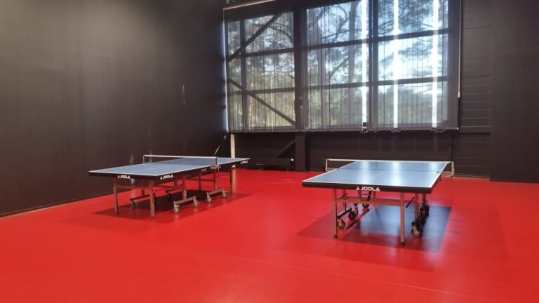 stalo teniso salė (3)