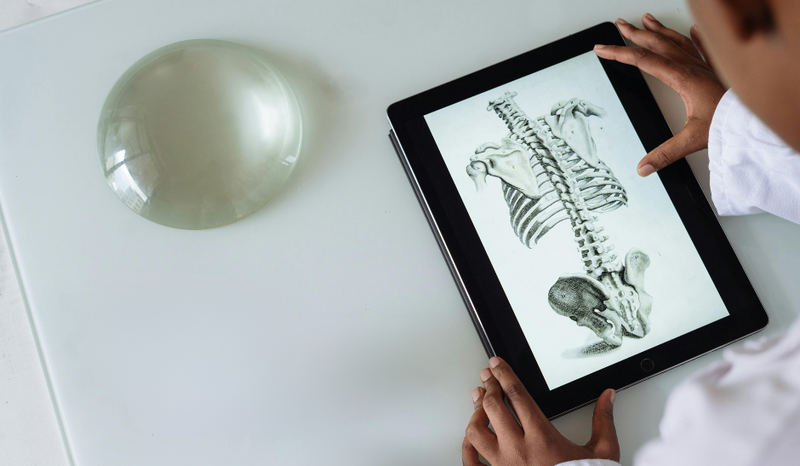 Visible Body – an interactive 3D anatomy and biology platform