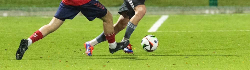 LSFL. VILNIUS TECH – KU