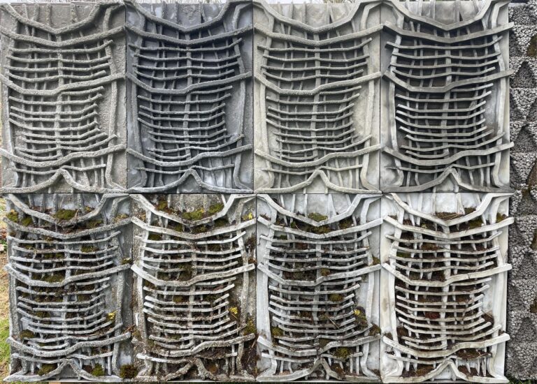 VILNIUS TECH mokslininkų kuriamas biobetonas sulaukė pasaulinio leidinio dėmesio