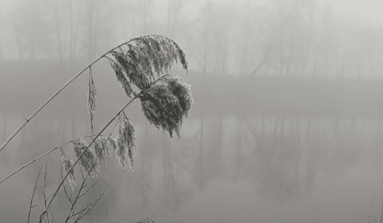 Algimantas Vėjalis’ Photography Exhibition “Without a Queue or in the Land of Lakes”